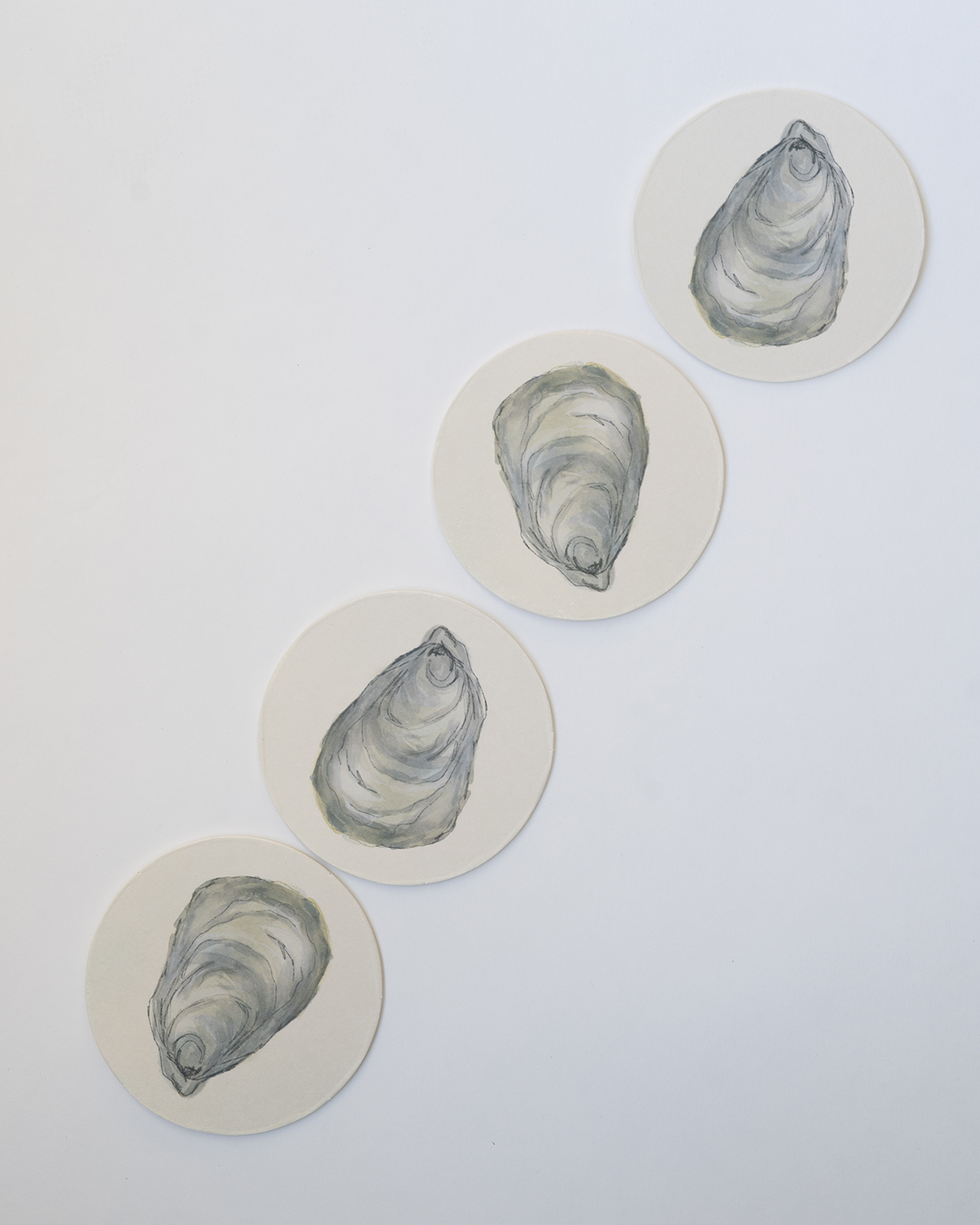 Oyster Coasters